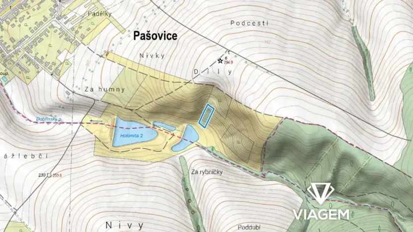 Prodej podílu zahrady, Pašovice, 802 m2