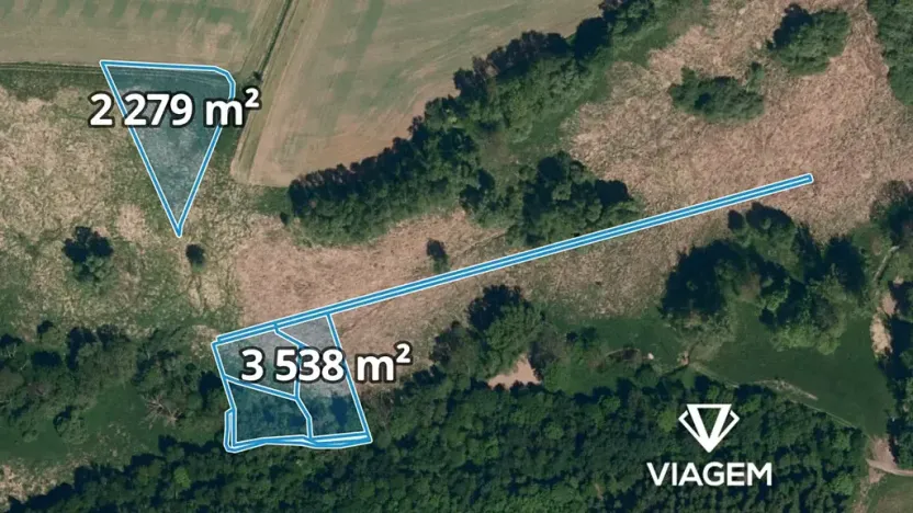 Prodej pole, Holasovice, 5311 m2