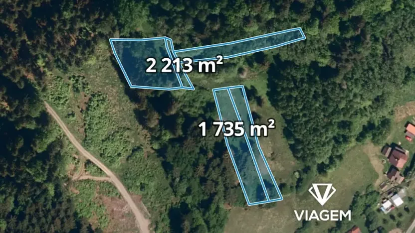 Prodej lesa, Mikulůvka, 3828 m2