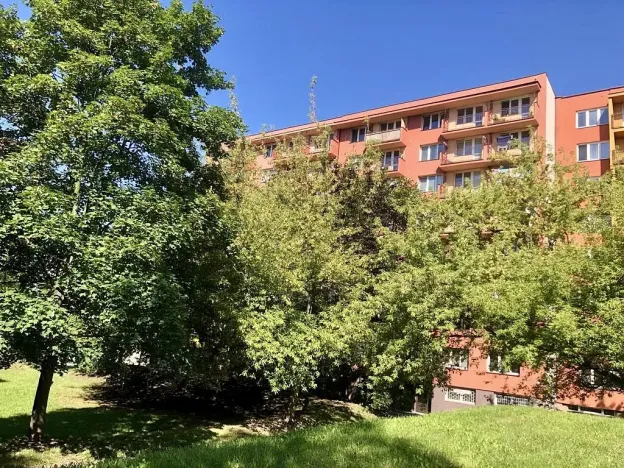 Prodej bytu 1+1, Ostrava - Moravská Ostrava, Lechowiczova, 35 m2