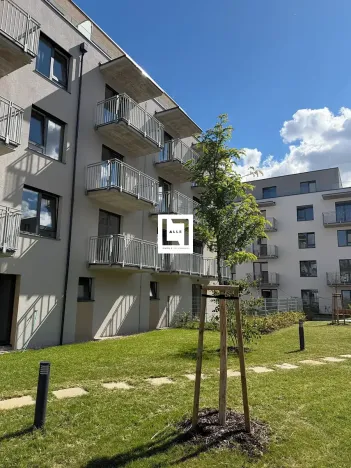 Prodej bytu 1+kk, Ostrava, Provaznická, 32 m2