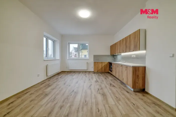 Prodej činžovního domu, Luby, Revoluční, 218 m2