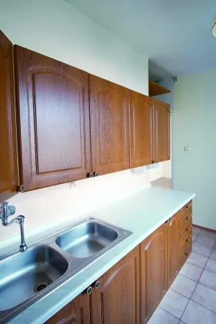 Prodej bytu 2+1, Praha - Záběhlice, Sasanková, 53 m2