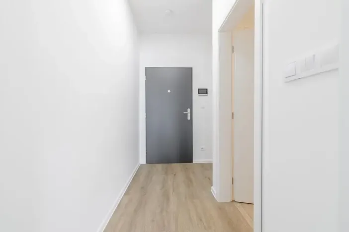 Prodej bytu 1+kk, České Budějovice, U Branišovského lesa, 46 m2