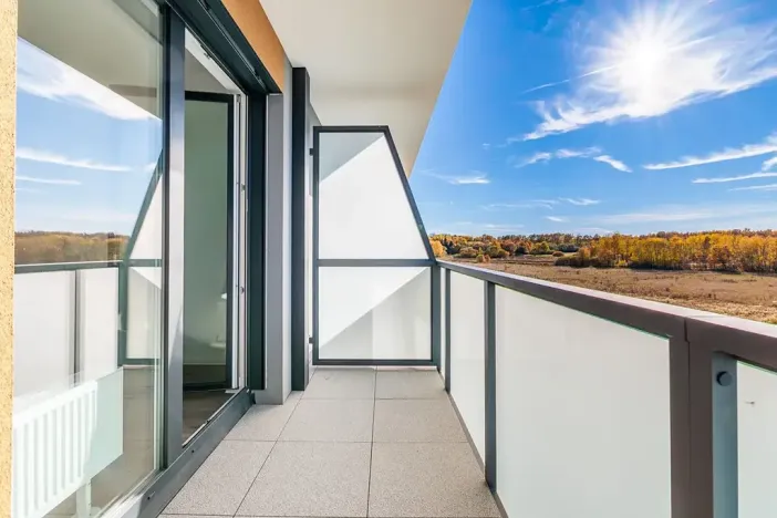 Prodej bytu 1+kk, České Budějovice, U Branišovského lesa, 46 m2