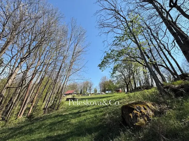 Prodej pozemku pro bydlení, Kořenov, 12296 m2