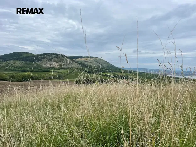 Prodej ubytování, Pohořelice, 1800 m2