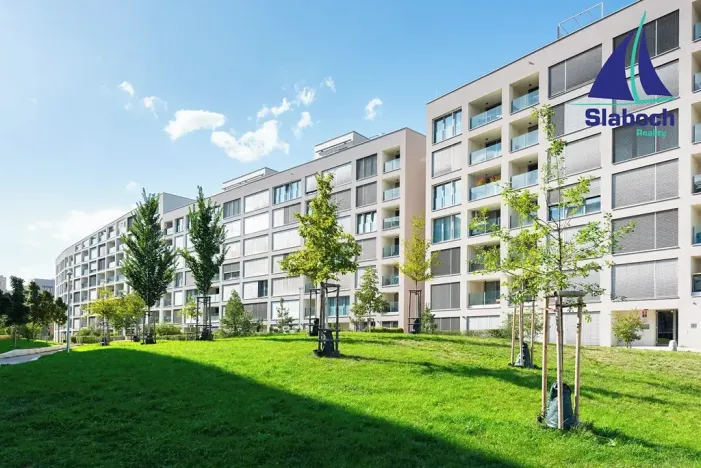 Pronájem bytu 1+kk, Praha - Karlín, Breitfeldova, 63 m2