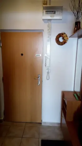 Pronájem bytu 1+kk, Brno, Zikova, 33 m2