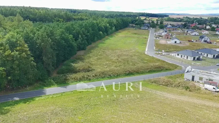 Prodej pozemku pro bydlení, Olešná, 2642 m2