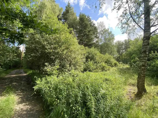 Prodej louky, Trhové Sviny - Otěvěk, 10951 m2