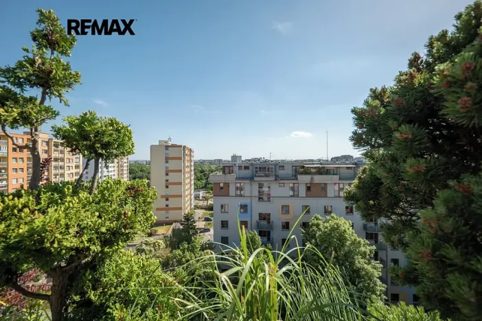 Prodej bytu 2+kk, Praha - Žižkov, Pod lipami, 45 m2