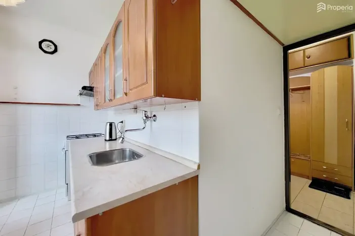Prodej bytu 2+1, Brno, Došlíkova, 52 m2