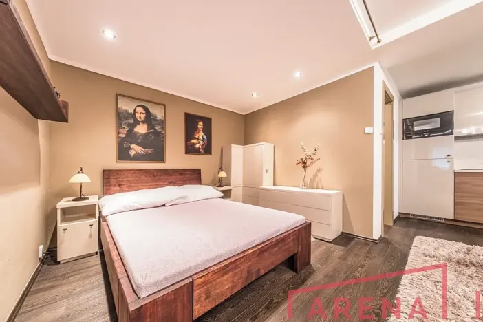 Pronájem bytu 1+kk, Brno, Žlutý kopec, 50 m2