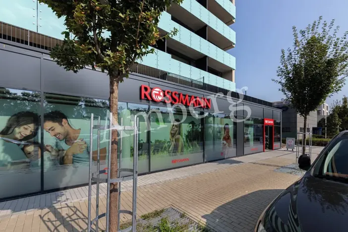 Pronájem bytu 3+kk, Praha - Žižkov, Olgy Havlové, 84 m2