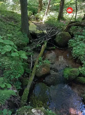 Prodej pozemku, Merklín, 3609 m2
