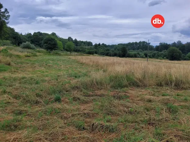 Prodej pozemku pro bydlení, Citice, 10671 m2