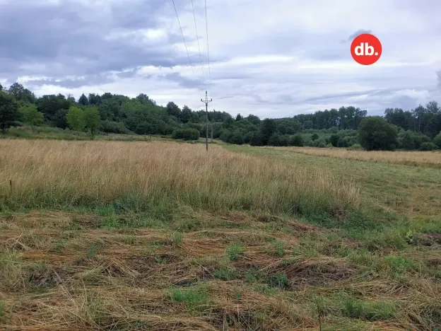 Prodej pozemku pro bydlení, Citice, 10671 m2