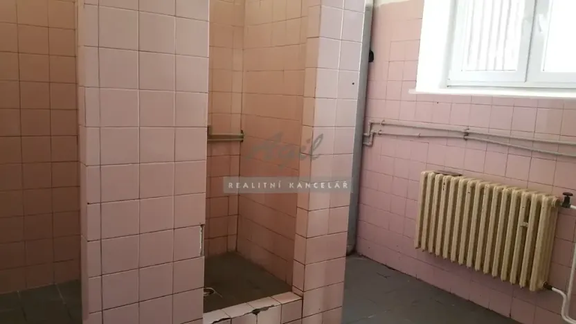 Pronájem výrobních prostor, Česká, 270 m2