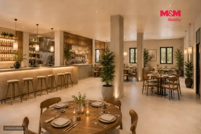 Pronájem restaurace, Domažlice, Kostelní, 244 m2