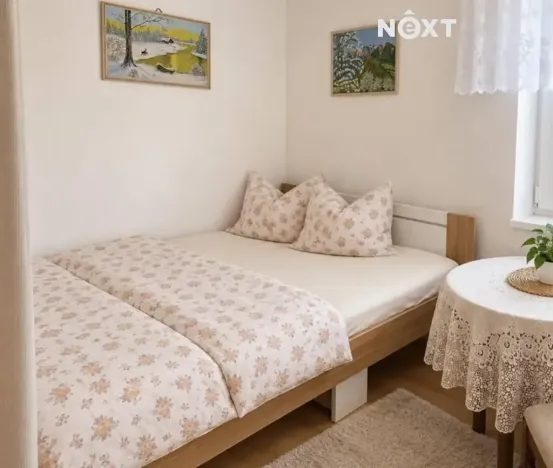 Pronájem bytu 1+kk, Ostrava, Horní, 35 m2