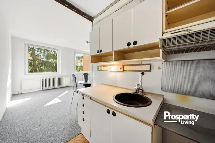 Prodej bytu 1+kk, Teplice - Trnovany, Krušnohorská, 30 m2