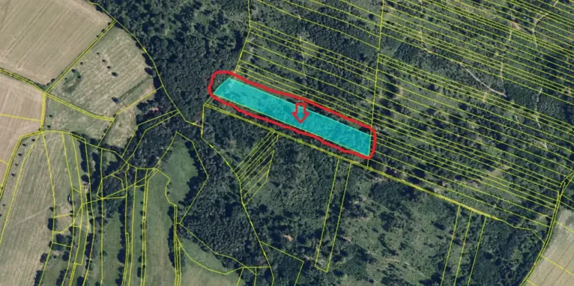 Prodej podílu lesa, Nová Hradečná, 6798 m2