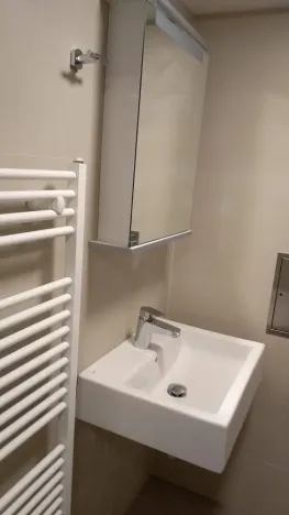 Pronájem bytu 1+kk, Praha - Strašnice, V Rybníčkách, 22 m2