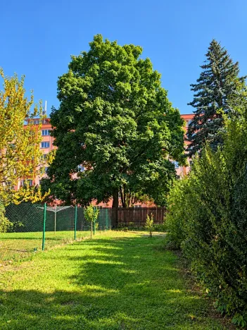 Prodej bytu 3+1, Plzeň, Nepomucká, 70 m2