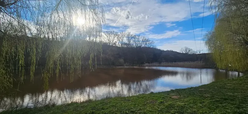 Prodej pozemku, Svitávka, 3502 m2