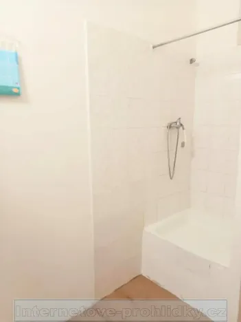 Pronájem bytu 2+1, Praha - Vinohrady, 47 m2