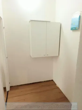 Pronájem bytu 2+1, Praha - Vinohrady, 47 m2