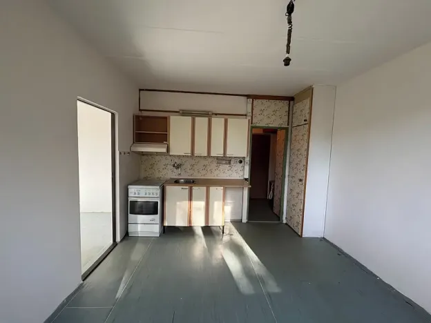 Pronájem bytu 1+1, Plzeň, Karla Steinera, 36 m2