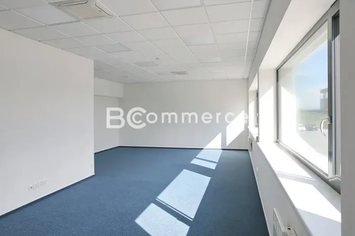 Pronájem skladu, Moravany, Průmyslová, 325 m2