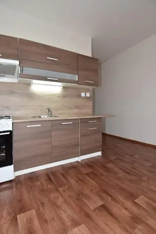 Prodej bytu 1+1, Chomutov, Písečná, 35 m2