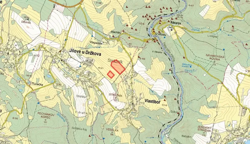 Prodej louky, Jílové u Držkova, 12382 m2