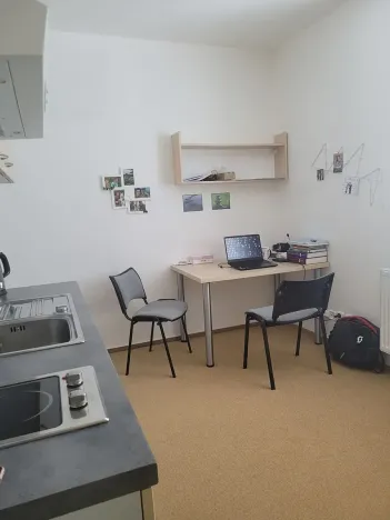 Pronájem bytu 1+kk, Brno, Vídeňská, 30 m2