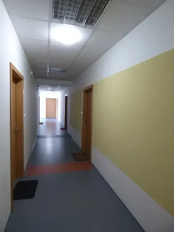 Pronájem bytu 1+kk, Brno, Vídeňská, 30 m2