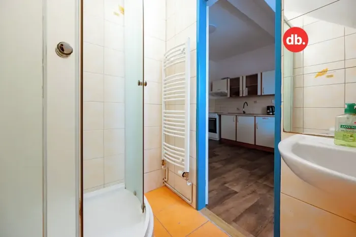 Prodej bytu 1+1, Karlovy Vary, Jabloňová, 45 m2