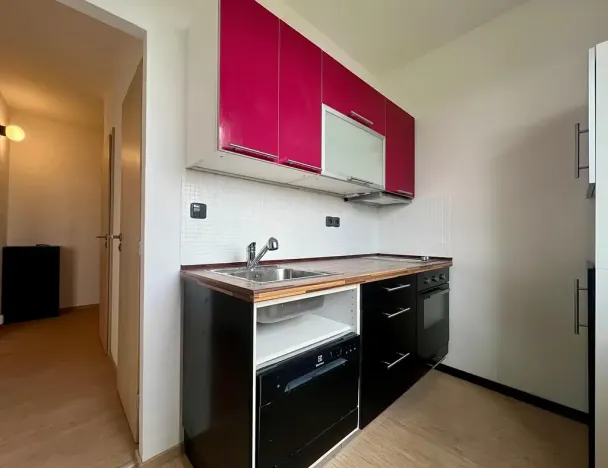 Pronájem bytu 1+1, Praha - Michle, U Botiče, 38 m2