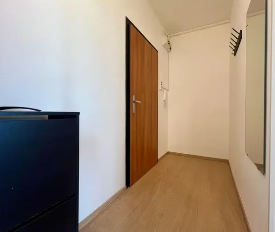 Pronájem bytu 1+1, Praha - Michle, U Botiče, 38 m2