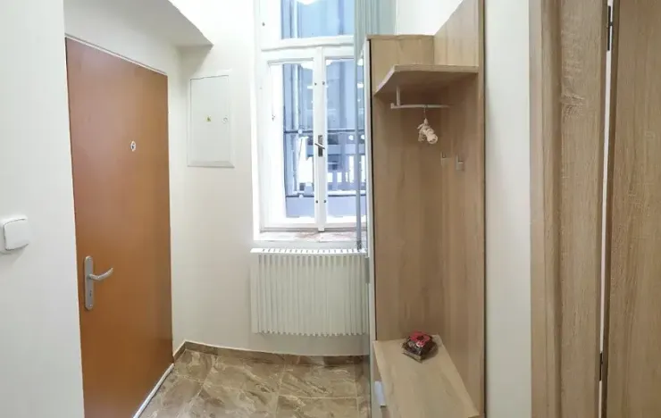 Pronájem bytu 1+kk, Praha - Žižkov, Hájkova, 40 m2