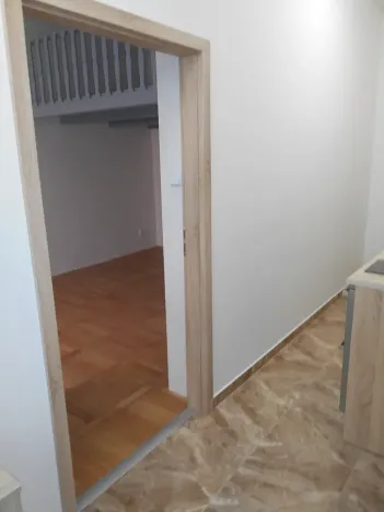 Pronájem bytu 1+kk, Praha - Žižkov, Hájkova, 40 m2