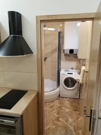Pronájem bytu 1+kk, Praha - Žižkov, Hájkova, 40 m2