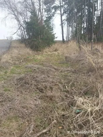 Prodej lesa, Dolní Hořice, 3279 m2