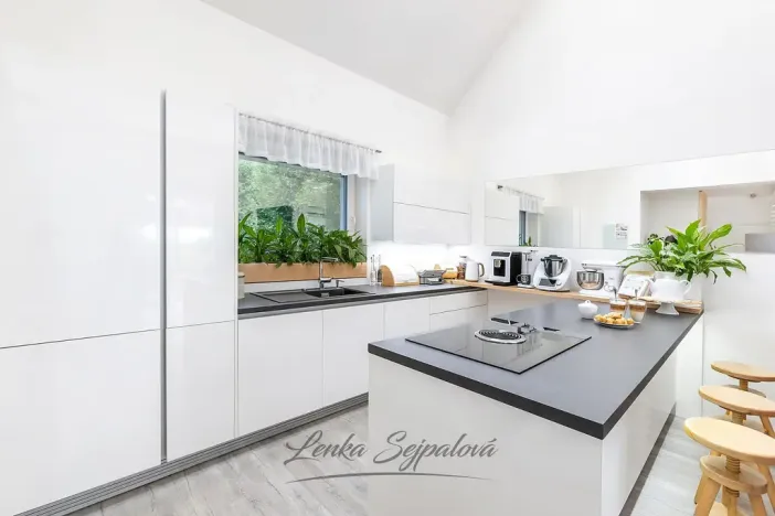 Prodej rodinného domu, Rabštejnská Lhota - Rabštejn, 160 m2