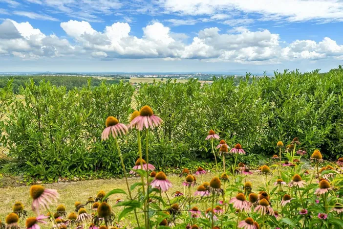 Prodej rodinného domu, Rabštejnská Lhota - Rabštejn, 160 m2