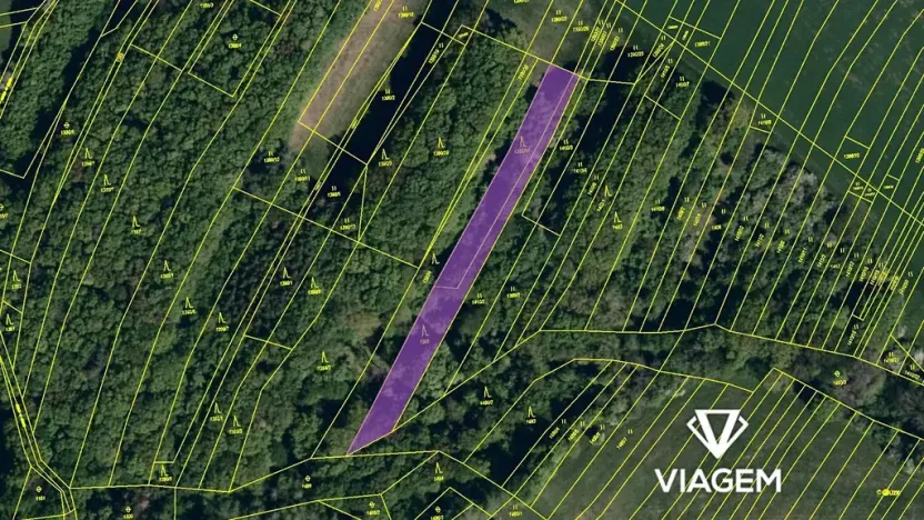 Prodej podílu lesa, Velký Ořechov, 1100 m2