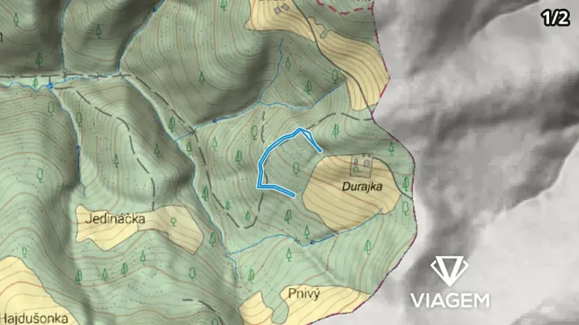 Prodej lesa, Hrčava, 4836 m2