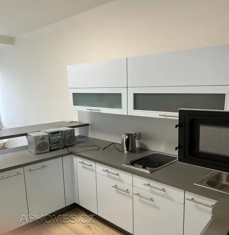 Pronájem bytu 1+1, Praha - Karlín, Thámova, 46 m2